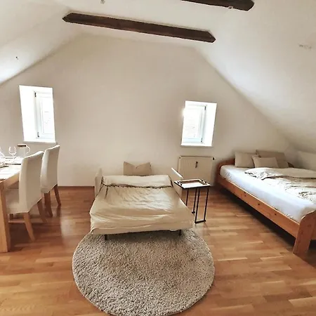 Altbau Dachgeschosswohnung Mitten In Appartamento *
