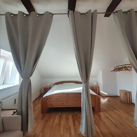 公寓 Altbau Dachgeschosswohnung Mitten In 格拉茨