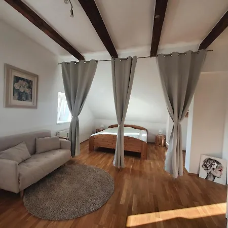 公寓 Altbau Dachgeschosswohnung Mitten In 格拉茨