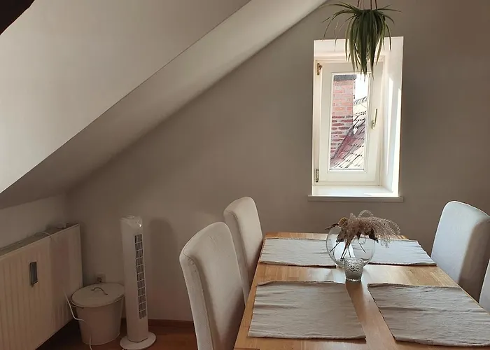 Altbau Dachgeschosswohnung Mitten In 公寓 格拉茨