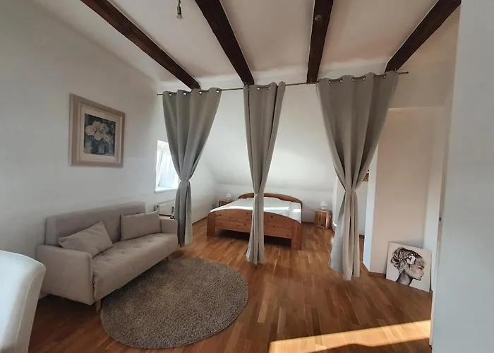 公寓 Altbau Dachgeschosswohnung Mitten In 格拉茨